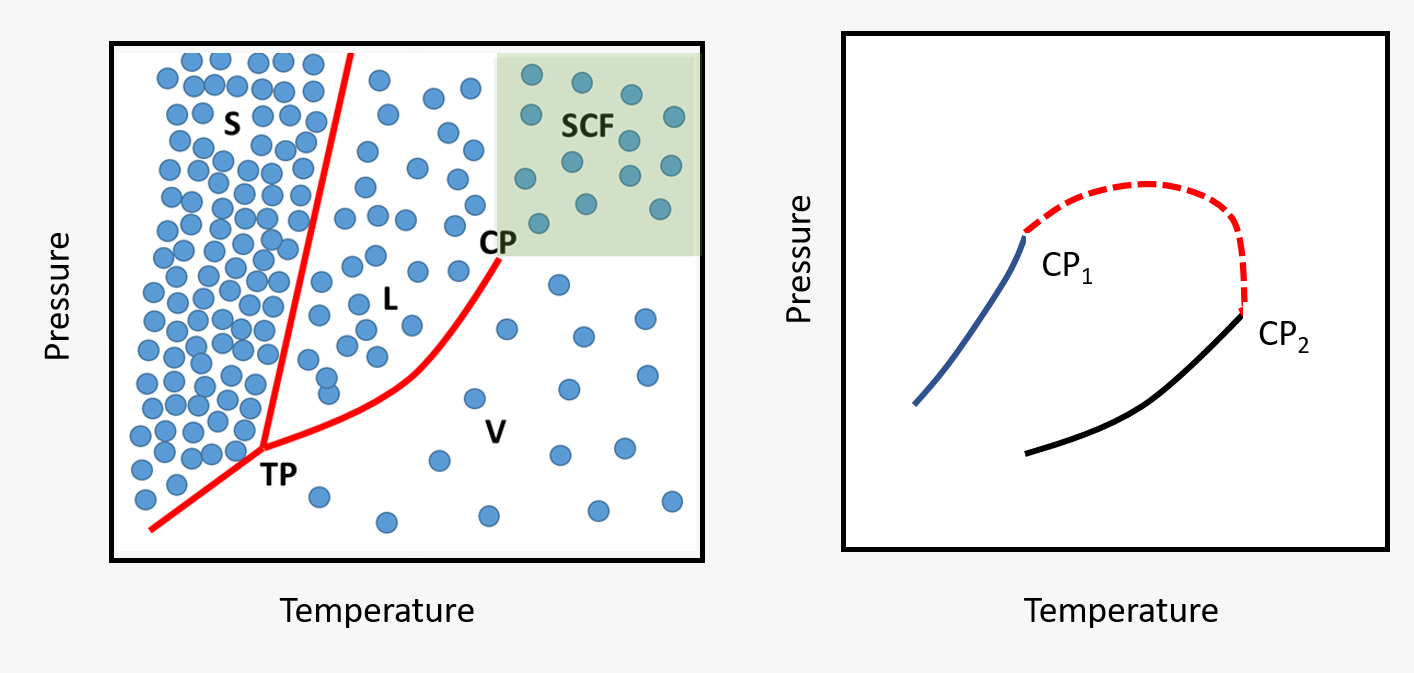 Phase diagram of a pure substance showing the vapor (V), Liquid (L), solid (S), and the supercritical fluid (SCF) regions. TP is the triple point. CP is the critical point. In fluid mixtures, critical point is composition dependent. In simple binary mixtures, it is continuous (red dashed curve) between the critical point of component 1 (CP1) and component 2 (CP2).
